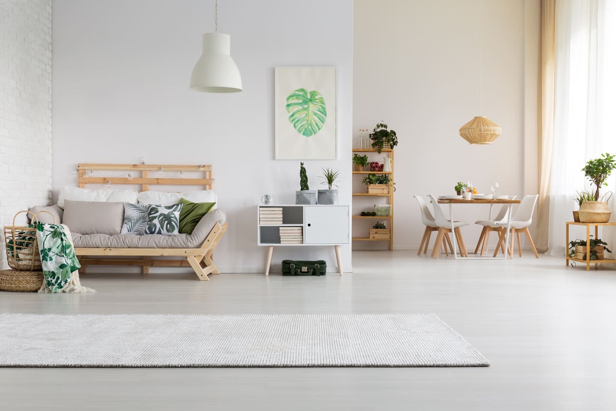Contura_i5_insert_cheminee
