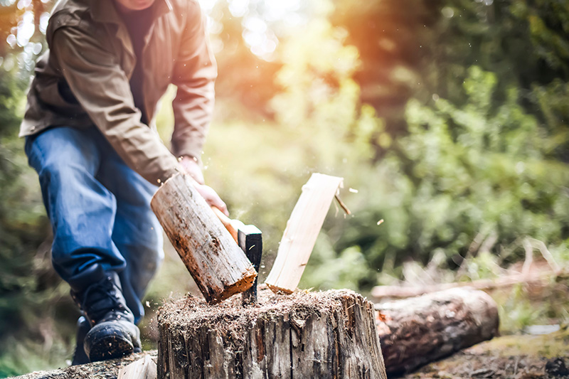 Les outils pour couper, fendre et stocker le bois