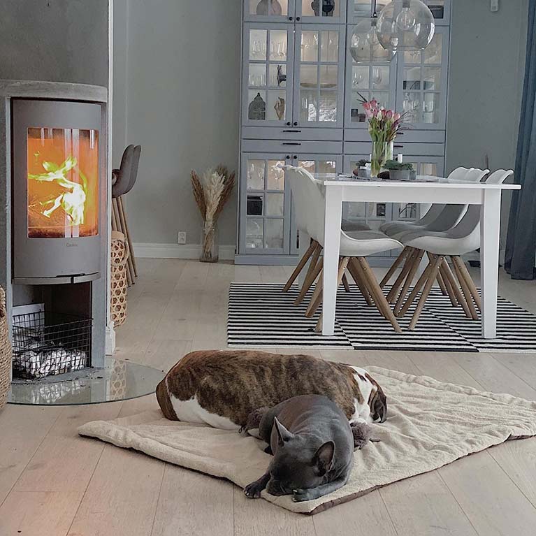 Soapstone stove with dogs infront of it