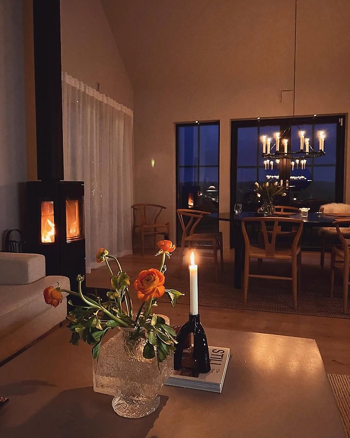 Contura_i5_insert_cheminee